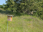 Pairing nest boxes